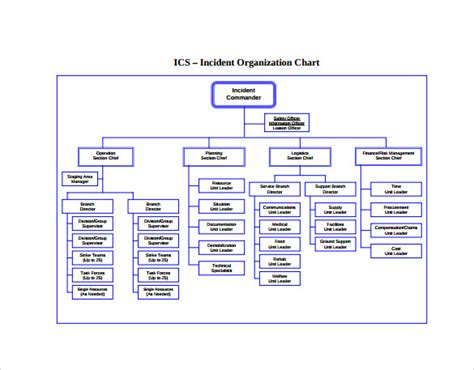 Ics Organizational Chart Template